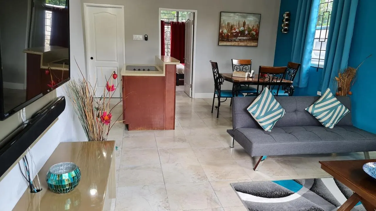 קינגסטון Casa Pinto Guest Apartment