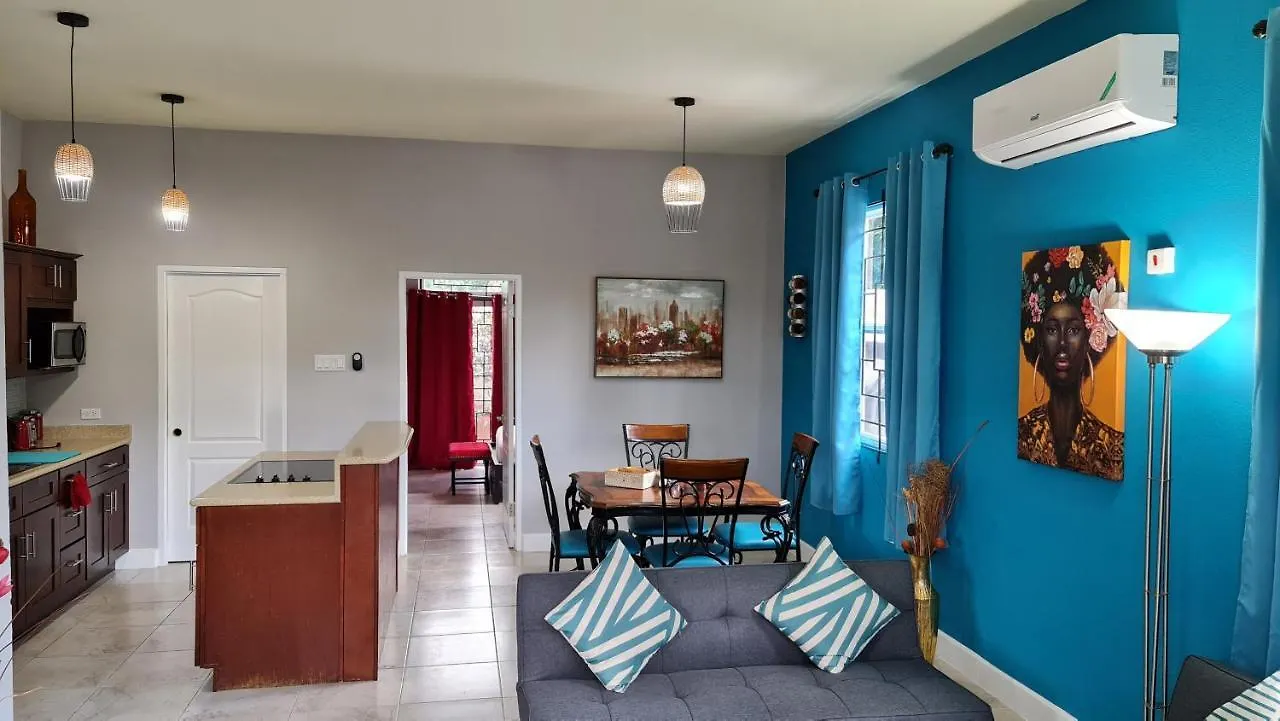 Casa Pinto Guest Apartment Κίνγκστον