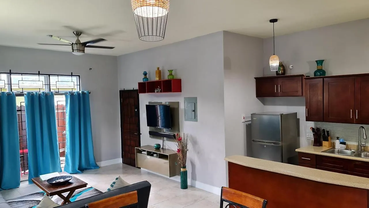 Casa Pinto Guest Apartment Κίνγκστον 0*,