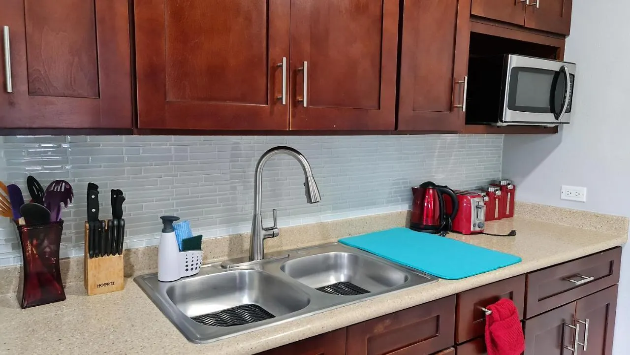 Casa Pinto Guest Apartment Κίνγκστον