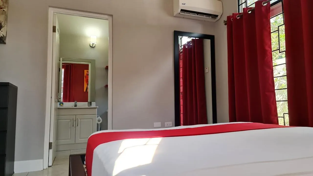 Casa Pinto Guest Apartment Κίνγκστον