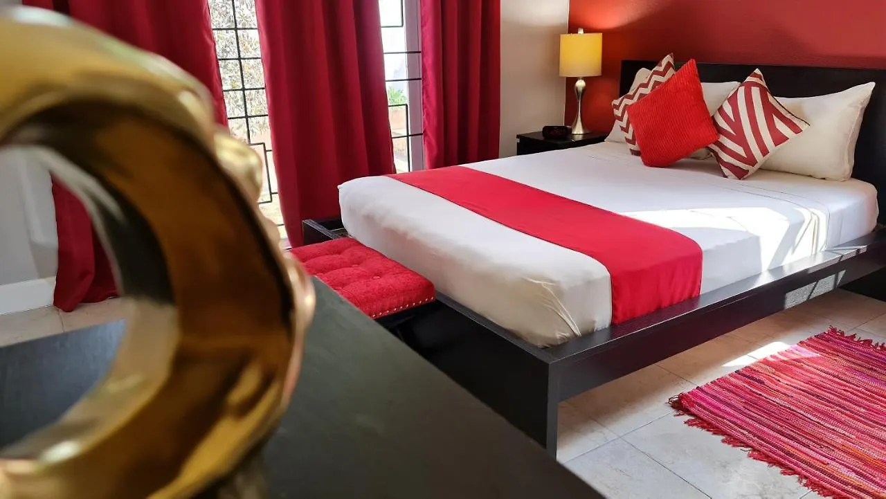 Casa Pinto Guest Apartment Κίνγκστον